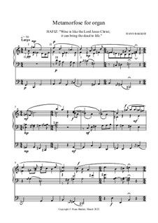Metamorfose for organ: Metamorfose for organ by Hans Bakker