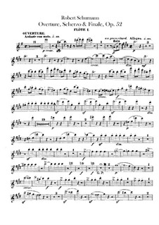 Overture, Scherzo and Finale, Op.52: parte de flautas by Robert Schumann