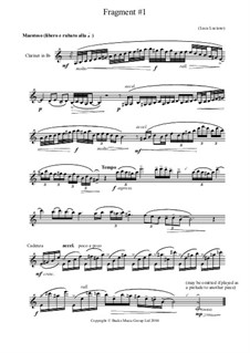 Miniature Pieces for Solo Clarinet: Miniature Pieces for Solo Clarinet by Luca Luciano