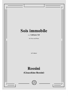 Sois immobile: Para vocais e piano by Gioacchino Rossini