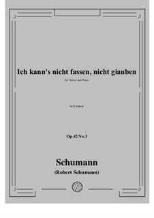 No.3 Is't True? I Cannot Believe It: B minor by Robert Schumann