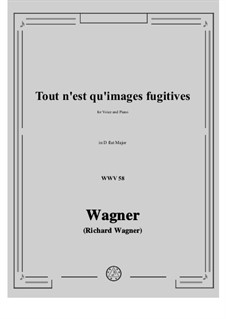 Tout n'est qu'images fugitives (All is but Fugitive Images), WWV 58: D flat Major by Richard Wagner