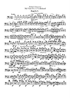 Vyšehrad, T.110: parte fagotes by Bedřich Smetana