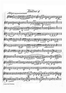 Concert Piece in G Minor, Op.46: violino parte I by Hans Sitt