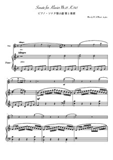 Sonata for Piano No.16 in C Major, K.545: Movement I, for flauta e piano by Wolfgang Amadeus Mozart