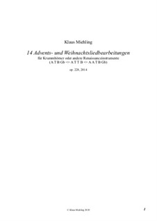 14 Advents- und Weihnachtsliedbearbeitungen für Krummhörner oder andere Renaissanceinstrumente, Op.228: 14 Advents- und Weihnachtsliedbearbeitungen für Krummhörner oder andere Renaissanceinstrumente by Klaus Miehling