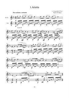 Lyric Pieces, Op.12: No.1 Arietta, für Flöte/Violine und Gitarre by Edvard Grieg