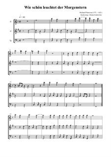Wie schön leuchtet der Morgenstern: Für Flöte, Klarinett und Fagot by Michael Praetorius