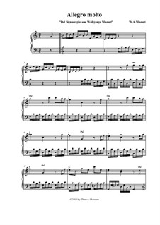 Allegro molto in C-Dur: Allegro molto in C-Dur by Wolfgang Amadeus Mozart