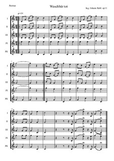 Waschbär tot, Op.11: Waschbär tot by Ing. Johann Rabl