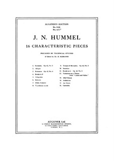 Technical Studies for Sixteen Character Pieces by J. Hummel: Technical Studies for Sixteen Character Pieces by J. Hummel by Hugo Riemann