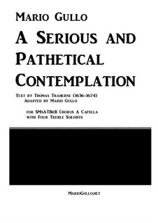 A Serious and Pathetical Contemplation: A Serious and Pathetical Contemplation by Mario Gullo