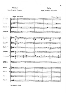 Racing. Etude for Orchestra: Racing. Etude for Orchestra by Franz Berwald