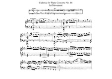 Concerto for Piano and Orchestra No.14 in E Flat Major, K.449: Cadenza to Movement I by Wolfgang Amadeus Mozart