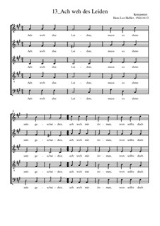 Ach weh des Leiden: Ach weh des Leiden by Hans Leo Hassler