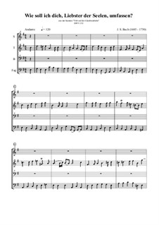 Tritt auf die Glaubensbahn, BWV 152: Wie soll ich dich, Liebster der Seelen, umfassen? by Johann Sebastian Bach