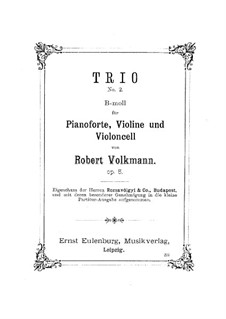 Piano Trio No.2 in B Flat Minor, Op.5: Partitura completa by Robert Volkmann