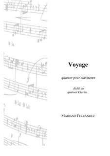 Voyage: Voyage by Mariano Ferrandez