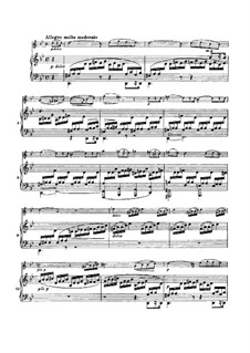 Sonata for Violin and Piano No.1 in G Major, Op.78: movimento III by Johannes Brahms