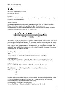 Scale (for Organ with mechanical stops): Scale (for Organ with mechanical stops) by Marc Neufeld