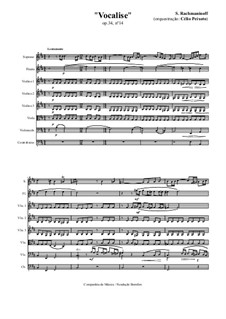 Vocalise, Op.34 No.14: para orquestra de camara by Sergei Rachmaninoff