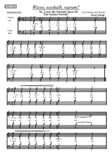 Die heitere Familie, Op.59: Nr.2 Wieso, weshalb, warum? by Bernd Gehring