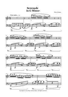 Serenade in G Minor: Serenade in G Minor by Peter Michel Gebara