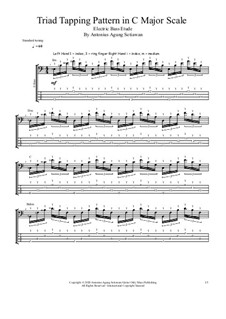 The Tapping Triad: The Tapping Triad by Antonius Agung Setiawan