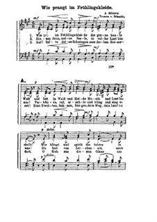 Wie prangt im Frühlingskleide: Wie prangt im Frühlingskleide by Agathon Billeter