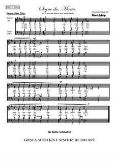 Alte Marienlieder Nr.1, Segne du, Maria, Op.231: Alte Marienlieder Nr.1, Segne du, Maria by folklore