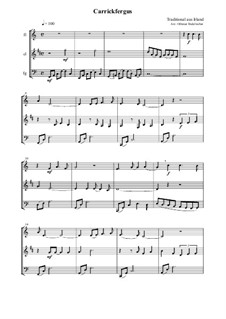 Carrickfergus: For flute, clarinet and bassoon by folklore