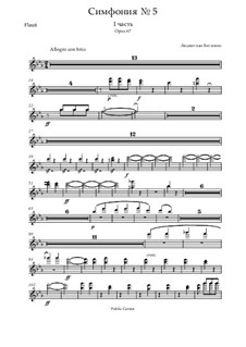 Movement I: parte flauta by Ludwig van Beethoven