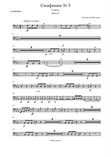 Movement I: Parte contrabaixo by Ludwig van Beethoven