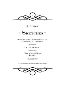Sketches: Sketches by Adam Curry