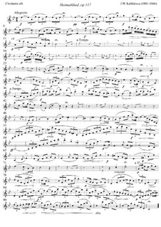 Heimathlied (Homesong) for Soprano, Clarinet and Piano, Op.117: parte clarinete by Jan Kalliwoda