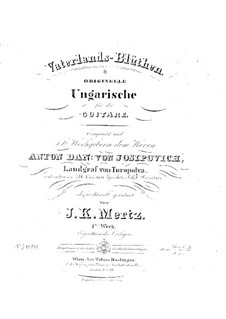 Vaterland-Blüthen, Op.1: Für einen Interpreten by Johann Kaspar Mertz