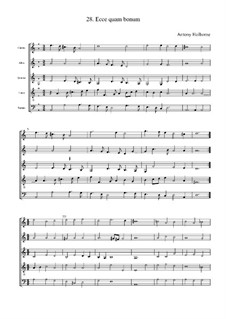 Ecce quam bonum: partitura completa by Anthony Holborne