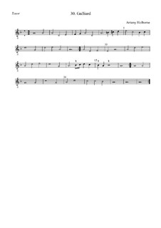 Galliard in D Minor for Strings: tenor by Anthony Holborne