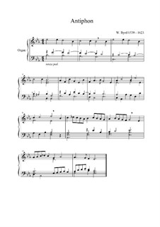 Antiphon for Organ: Antiphon for Organ by William Byrd