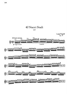 Etude No.13 for Flute, Op.75: Etude No.13 for Flute by Luigi Hugues