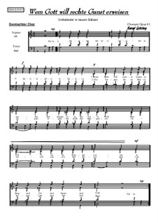 Wem Gott will rechte Gunst erweisen: para coro misto, Op.81 by folklore