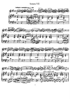 Sonata No.7: Versão para flauta e piano, parte solo by Johann Mattheson