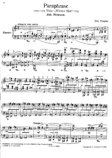 Paraphrase on Waltz 'Viennese Blood' by J. Strauss: Para Piano by Dirk Schäfer