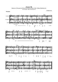 Sonates en trio pour les flûtes traversières et a bec, violon, hautbois et basso continuo, Op.3: Soneto No.3 by Jacques-Martin Hotteterre