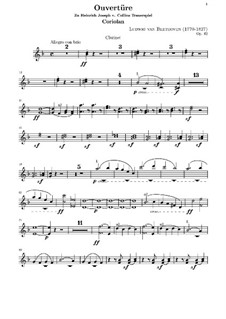 Ouvertüre Coriolan (Coriolanus Overture), Op.62: parte clarinetes by Ludwig van Beethoven