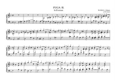 Fugue No.2 in D Minor: Fugue No.2 in D Minor by Johann Baptist Vanhal