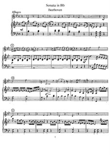 Sonata for Flute and Piano in B Flat Major, Anh 4: Score, Parte de solo by Ludwig van Beethoven