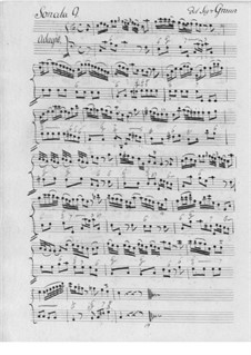 Sonata for Flute and Basso Continuo No.9: Sonata for Flute and Basso Continuo No.9 by Carl Heinrich Graun