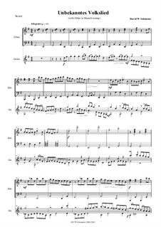 Unbekanntes Volkslied: For zither (Munich tuning) and guitar by David W Solomons