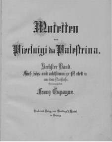 Motets: volume VI by Giovanni da Palestrina